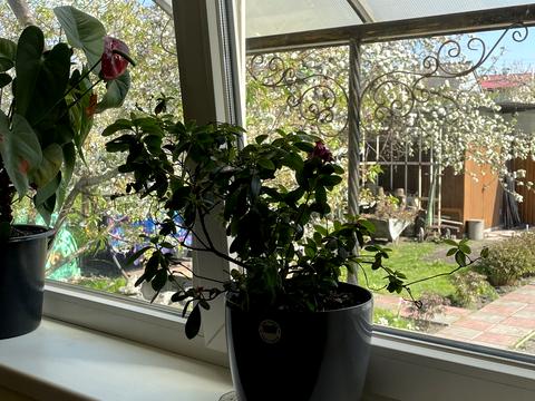дом по адресу Садовая ул., 54