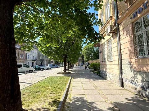 квартира по адресу Левицкого ул. (Маяковского), 71