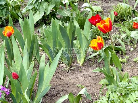 квартира за адресою Лісопарківська вул., 5
