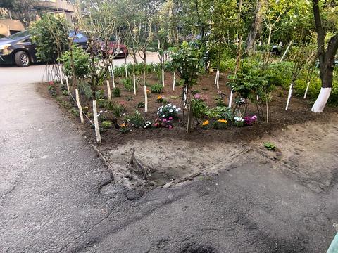 квартира за адресою Академіка Заболотного вул., 4