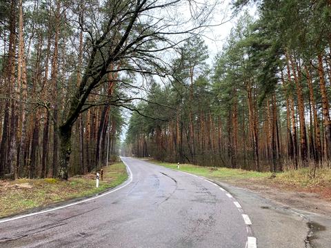 участок по адресу Лесная ул., 44