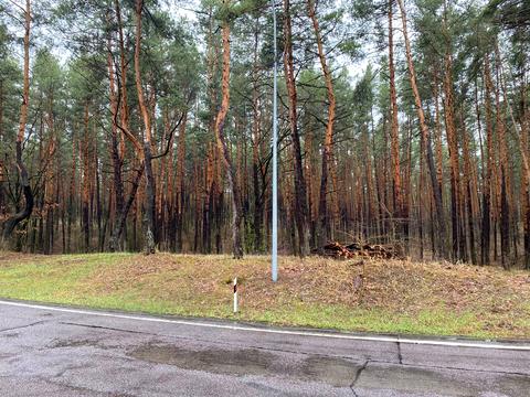 участок по адресу Лесная ул., 44
