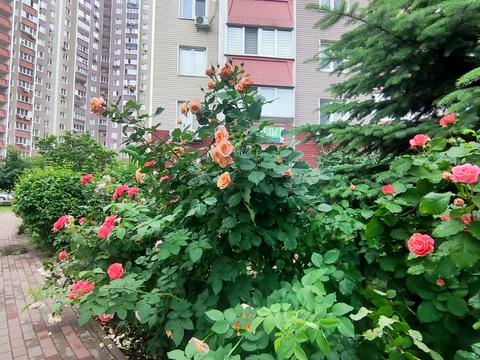 квартира за адресою Петра Григоренка просп., 16