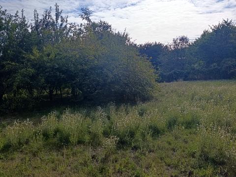 будинок за адресою Поліська вул., 79