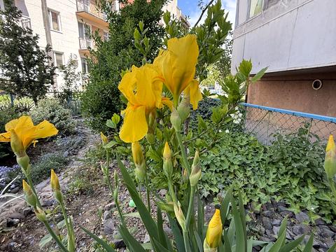 квартира по адресу Канальна ул., 29