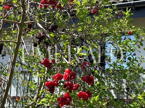 дом по адресу Молодёжная ул., 10В