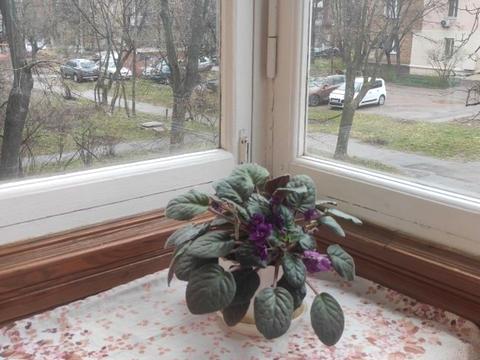 квартира за адресою Юрія Глушка вул. (Подвойського), 10