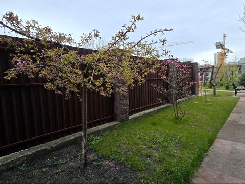 квартира по адресу Лукьяновская пл., 21-Б