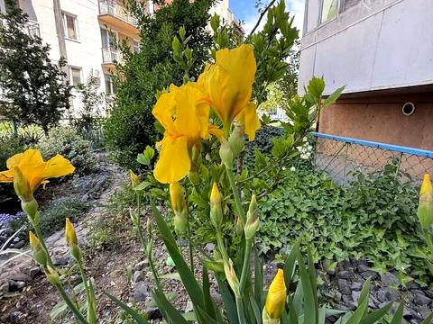 квартира по адресу Канальна ул., 29