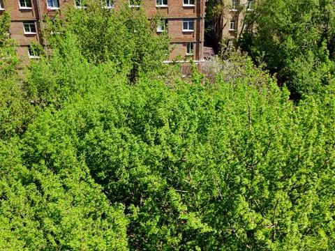 квартира по адресу Мостицкая ул., 12