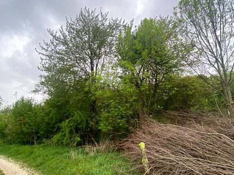 ділянка за адресою 