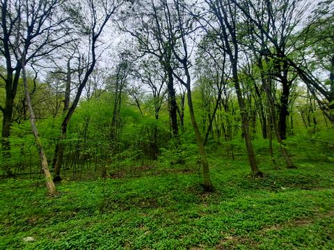 квартира по адресу Метрологическая ул., 9-Д