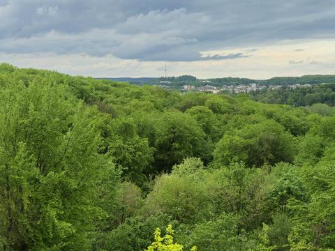 квартира за адресою Жасминова вул., 11