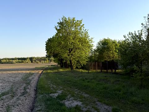 ділянка за адресою Окружна вул.