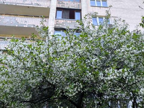 квартира за адресою Всеволода Нестайка вул. (Олександра Мильчакова), 3-А