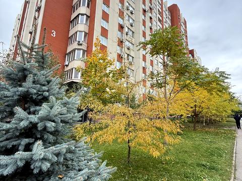 комерційна за адресою Кадетський Гай вул., 3