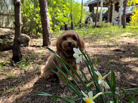 будинок за адресою Київська вул.