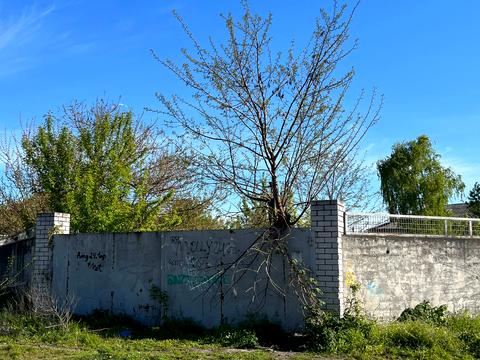 квартира за адресою Вільхового Лісу вул. (Степана Разіна), 56