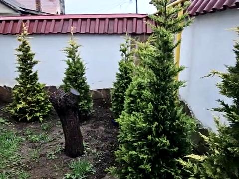дом по адресу Новгородська ул.