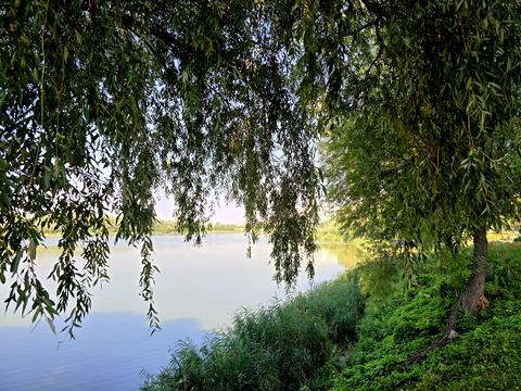 квартира за адресою Йорданська вул. (Лайоша Гавро), 3