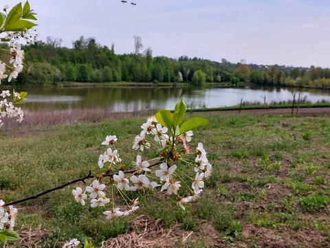 будинок за адресою Паріївська
