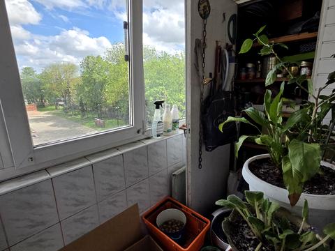 квартира за адресою Богдана Лепкого вул., 51