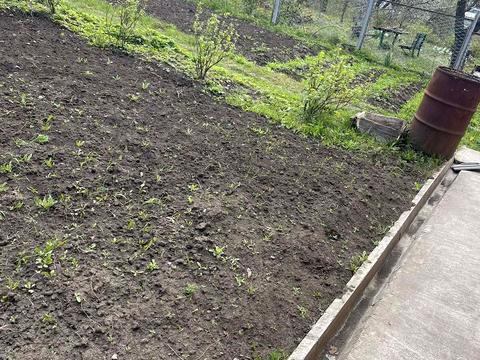 дом по адресу 2-й Кам'янецький пер., 15