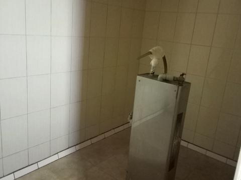 комерційна за адресою Незалежності вул., 17