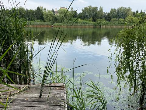 дом по адресу Луговая ул.