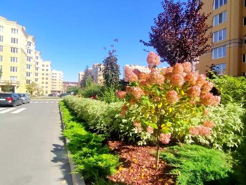 квартира за адресою Миру вул., 50