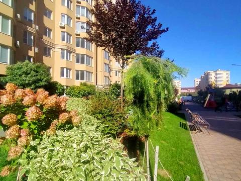 квартира за адресою Миру вул., 50