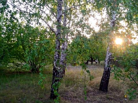 участок по адресу Журавлина, 5