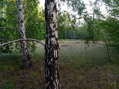 участок по адресу Журавлина, 5