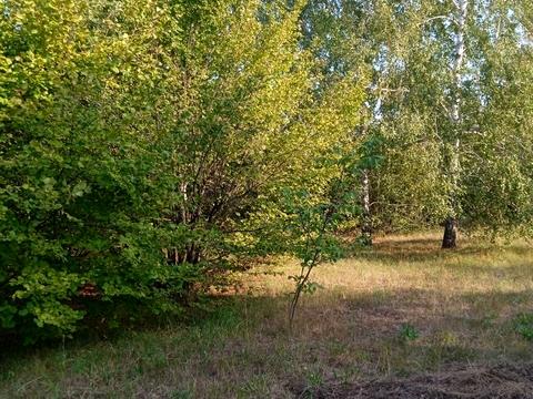 участок по адресу Журавлина, 5