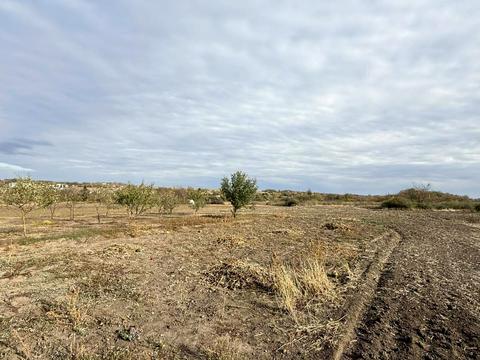 комерційна за адресою центральна, 1