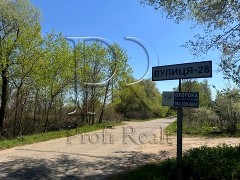 участок по адресу Центральна вулиця