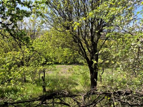 дом по адресу с. Халепье, СТ Струмок
