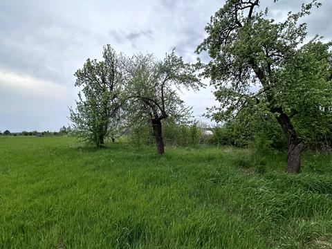 участок по адресу Лесная ул., 12