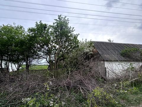 участок по адресу Лесная ул., 12