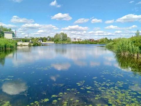 участок по адресу Свободи