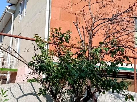 будинок за адресою Шкільна вул.