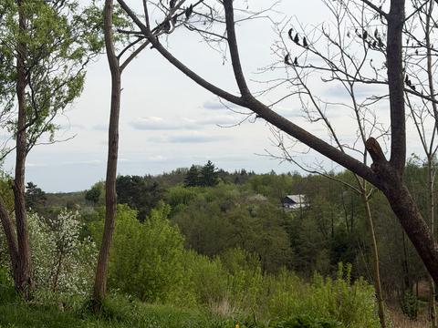 дом по адресу Шевченка провулок, 13