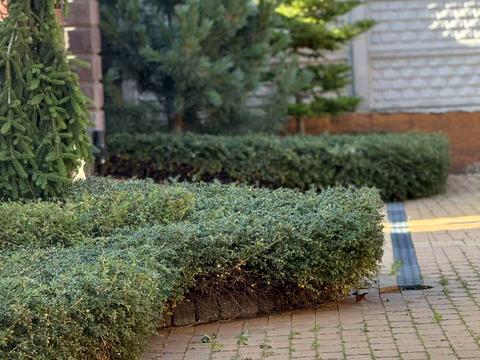 будинок за адресою Коперника