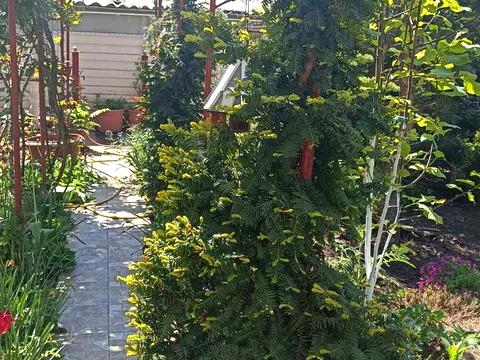 будинок за адресою Південна дорога вул., 26