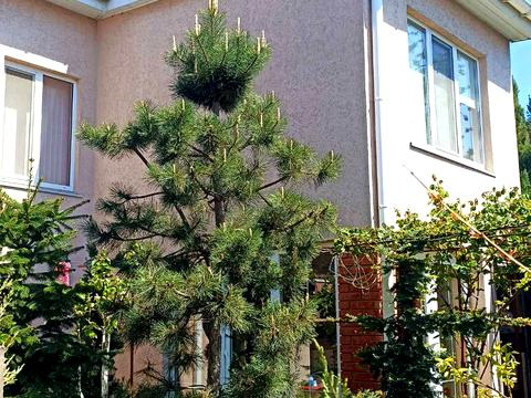 будинок за адресою Південна дорога вул., 26
