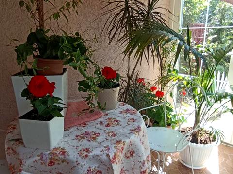 будинок за адресою Південна дорога вул., 26