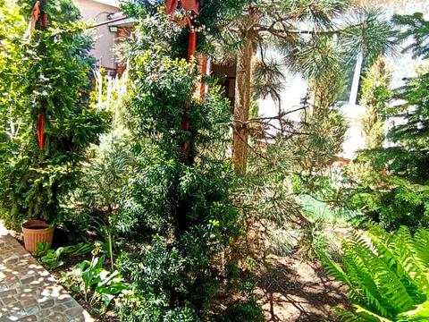 будинок за адресою Південна дорога вул., 26