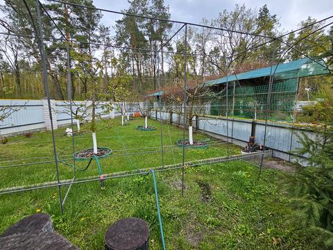 будинок за адресою Шевченка, 18