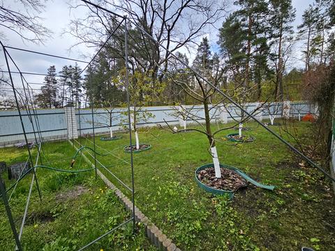 будинок за адресою Шевченка, 18