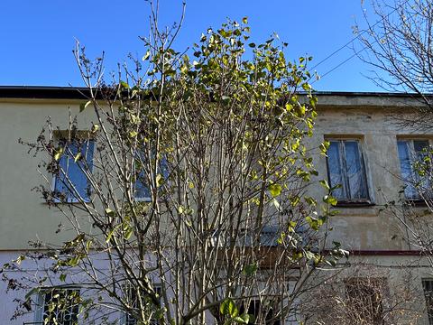 квартира за адресою Ярослава Гашека вул., 14